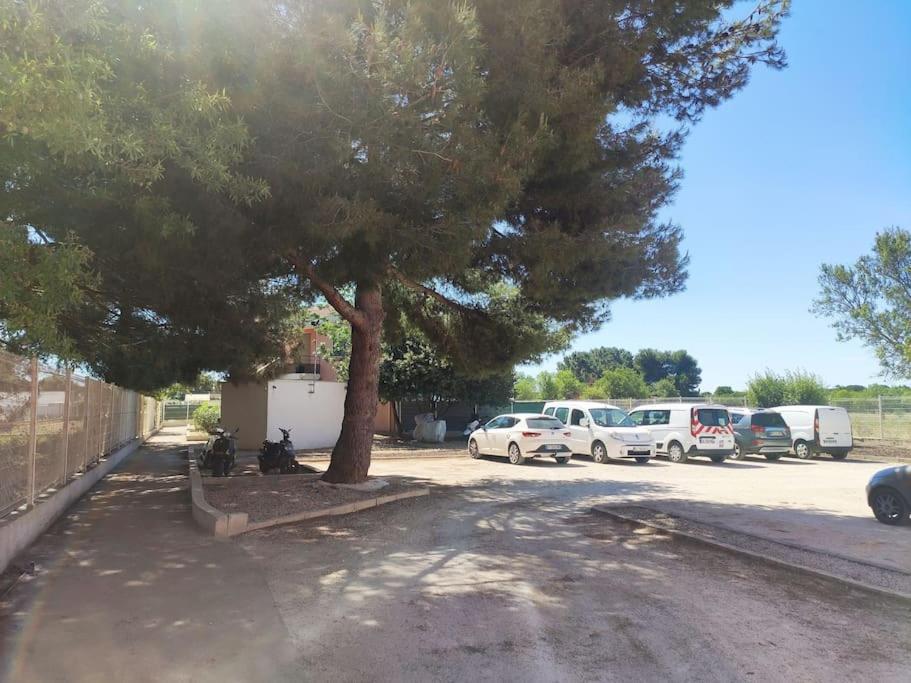 Appartamento Harmonie Du Sud Le Grau-dʼAgde Esterno foto