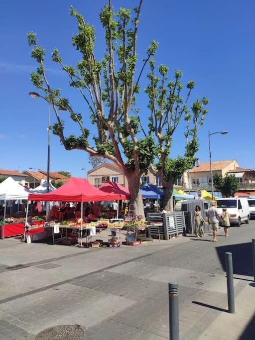 Appartamento Harmonie Du Sud Le Grau-dʼAgde Esterno foto